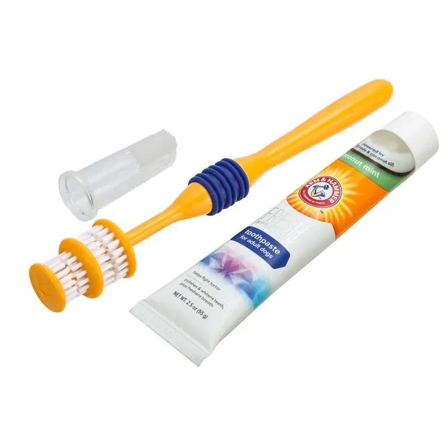 Arm & Hammer Adult Dog Toothbrush