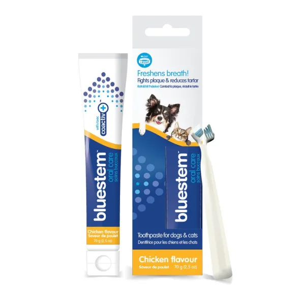 Bluestem Toothpaste & Brush Combo - Chicken Flavour 70g