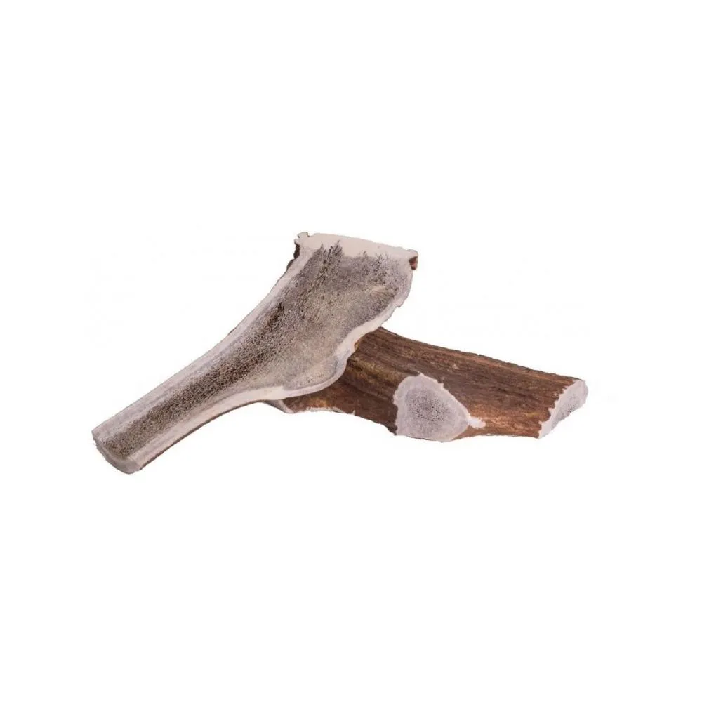 Deer Antler Dog Chew