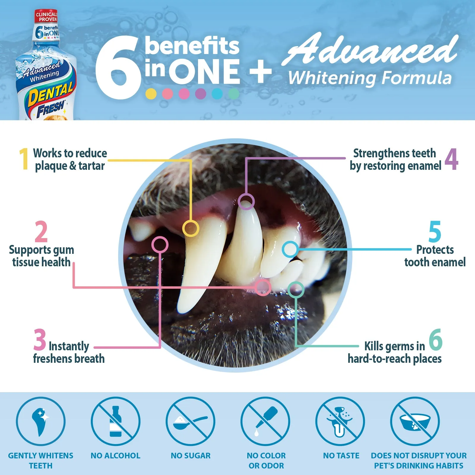 Dental Fresh Advanced Whitening Dog 8 oz