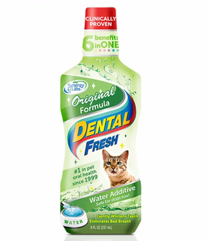 Dental Fresh For Cats 8oz