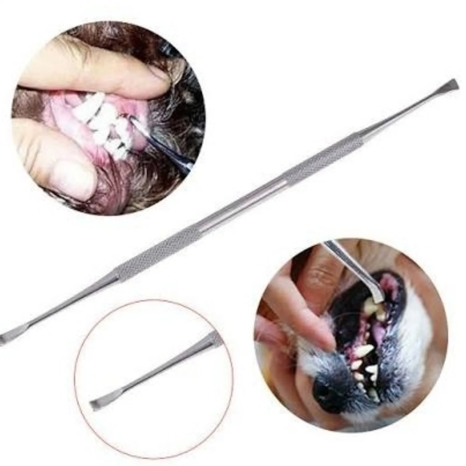 Dental Scaler Flat Edge