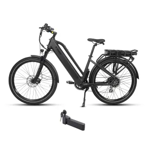 Dirwin 500W 48V Pacer Plus Step-Thru Long Range Electric Bike