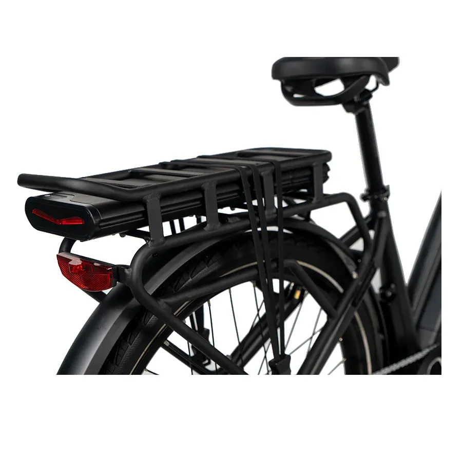 Dirwin 500W 48V Pacer Plus Step-Thru Long Range Electric Bike