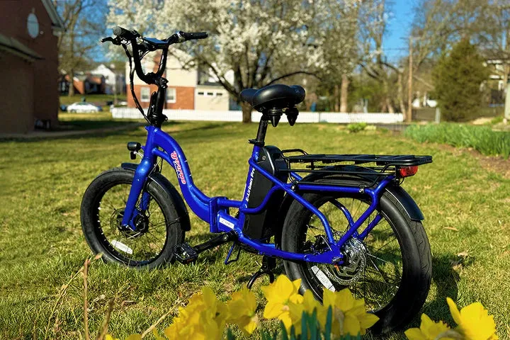 E-Joe 500W Young Electric E-Urban Lightweight Folding Fat Tire Step-Thru Electric Bike