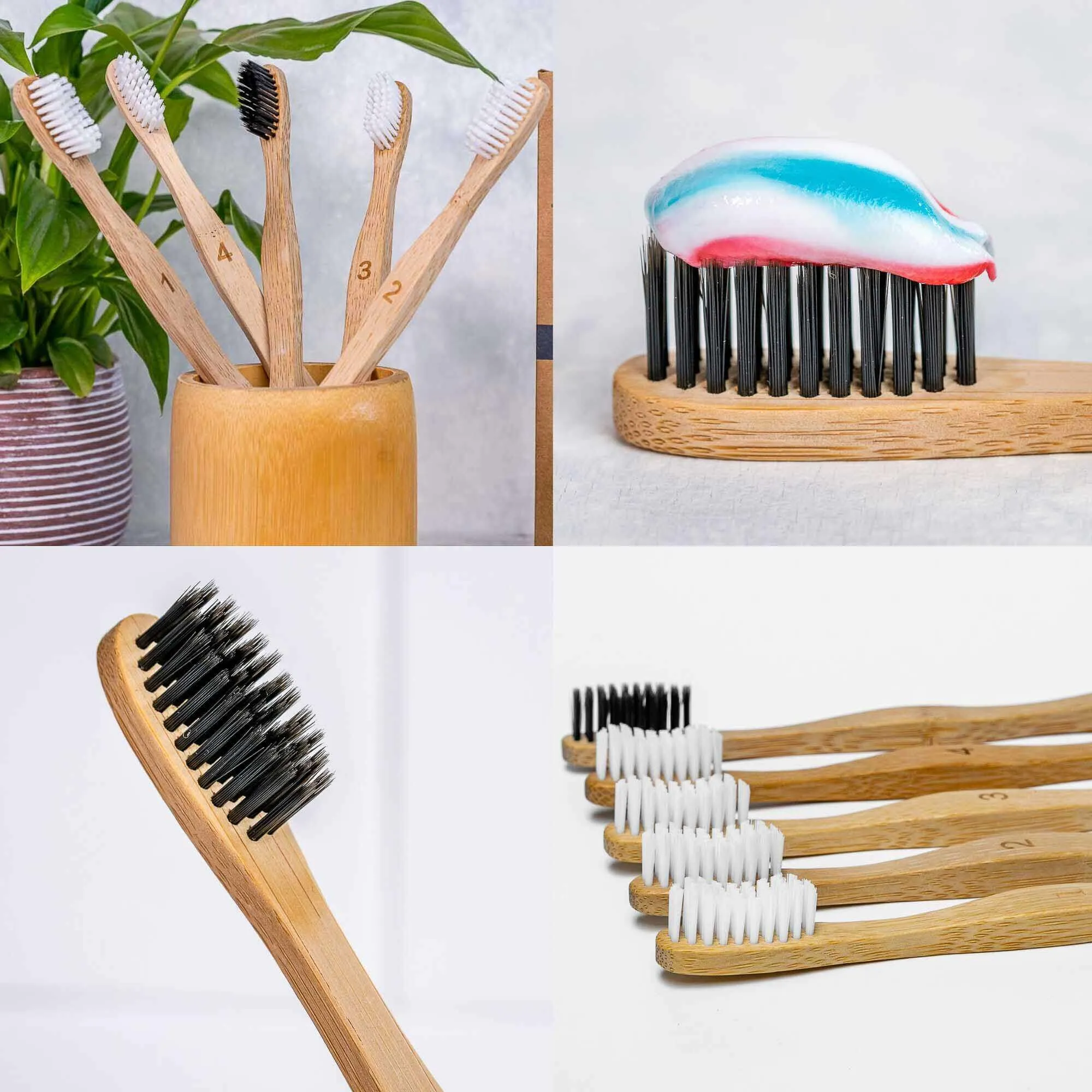 Eco-Friendly Toothbrushes - Set of Five