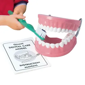 Giant Dental Care Teaching Model with Real-Bristled Toothbrush