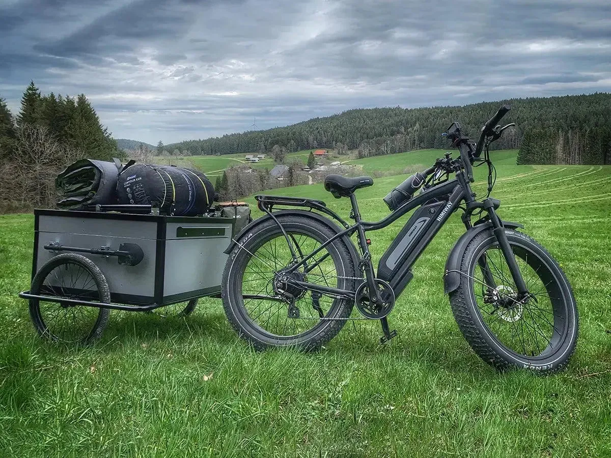 Himiway D3 (Cruiser) | Long Range Fat Tire Electric Bike