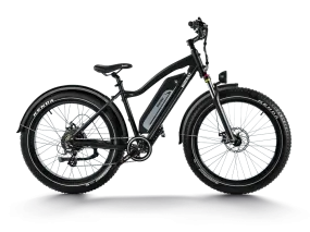 Himiway D3 (Cruiser) | Long Range Fat Tire Electric Bike