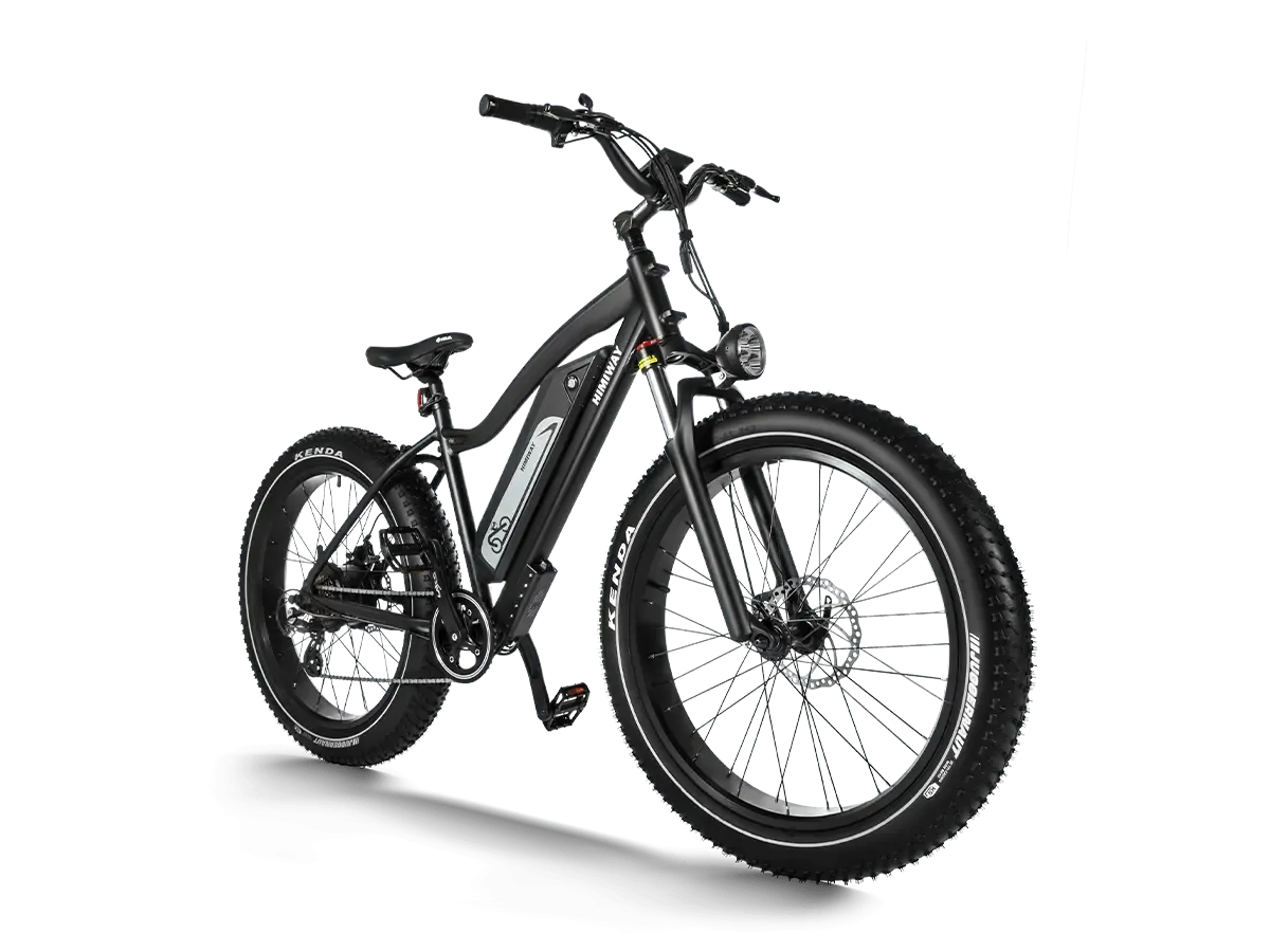 Himiway D3 (Cruiser) | Long Range Fat Tire Electric Bike