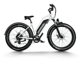 Himiway D3 ST (Cruiser ST) | All Terrain Step Thru Electric Bike