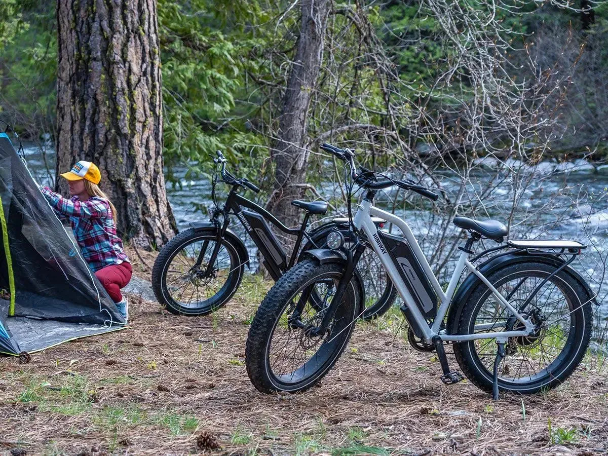 Himiway D3 ST (Cruiser ST) | All Terrain Step Thru Electric Bike