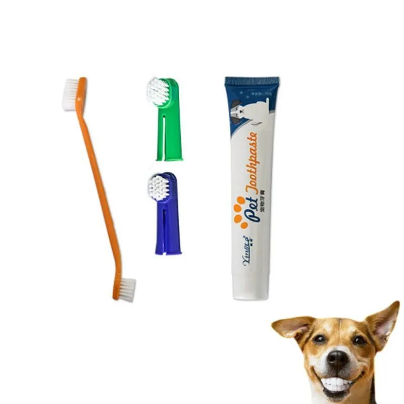 Keep Fido's Smile Bright: Complete Dental Kit for Dogs!