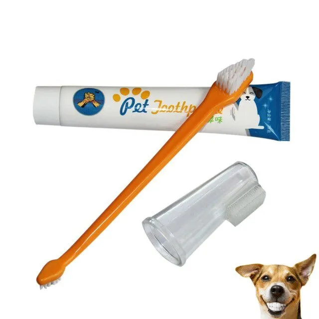 Keep Fido's Smile Bright: Complete Dental Kit for Dogs!