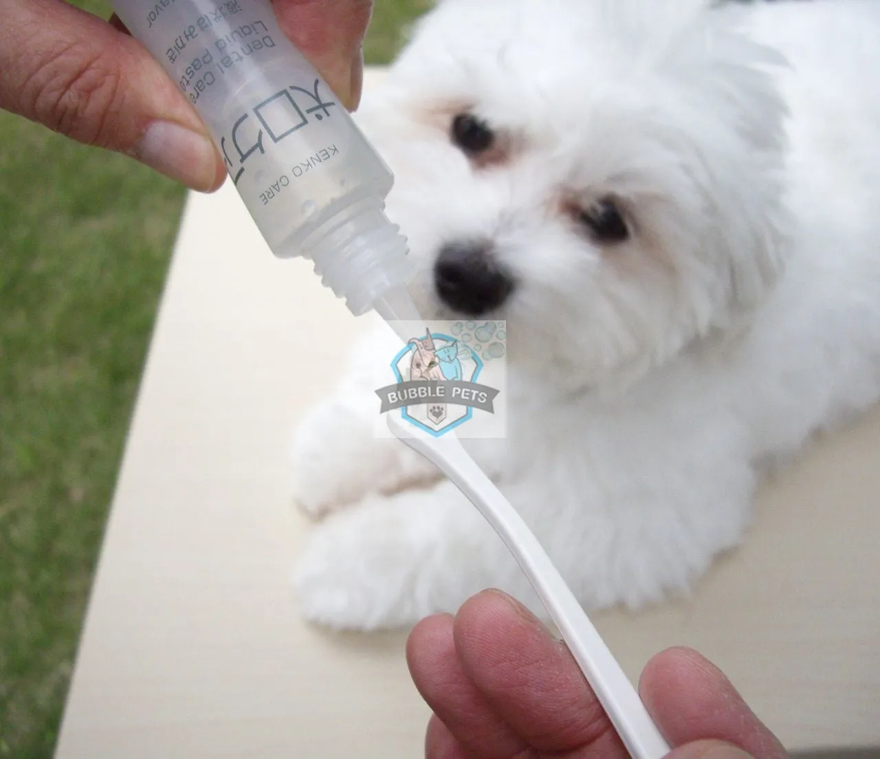 Mind Up Kenko Care Toothbrushing Liquid for Dog [Vol: 30ml]