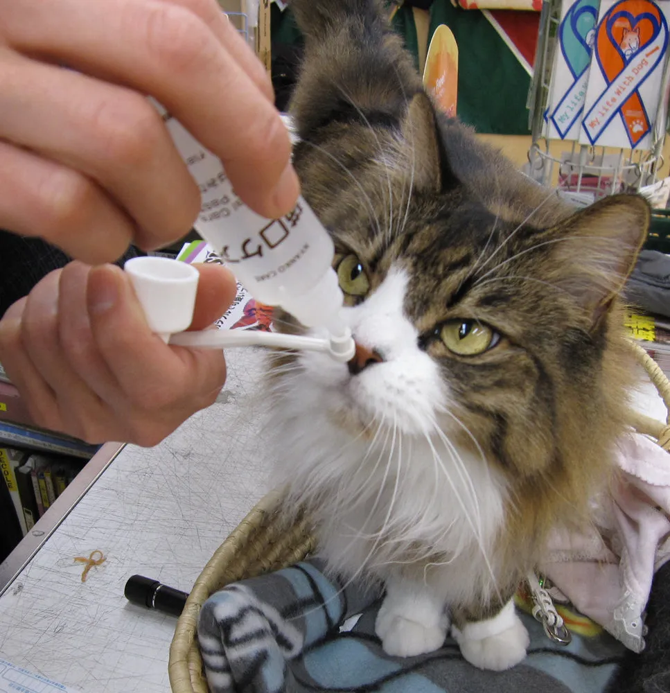 Mind Up Nyanko Care Toothbrushing Liquid For Cats