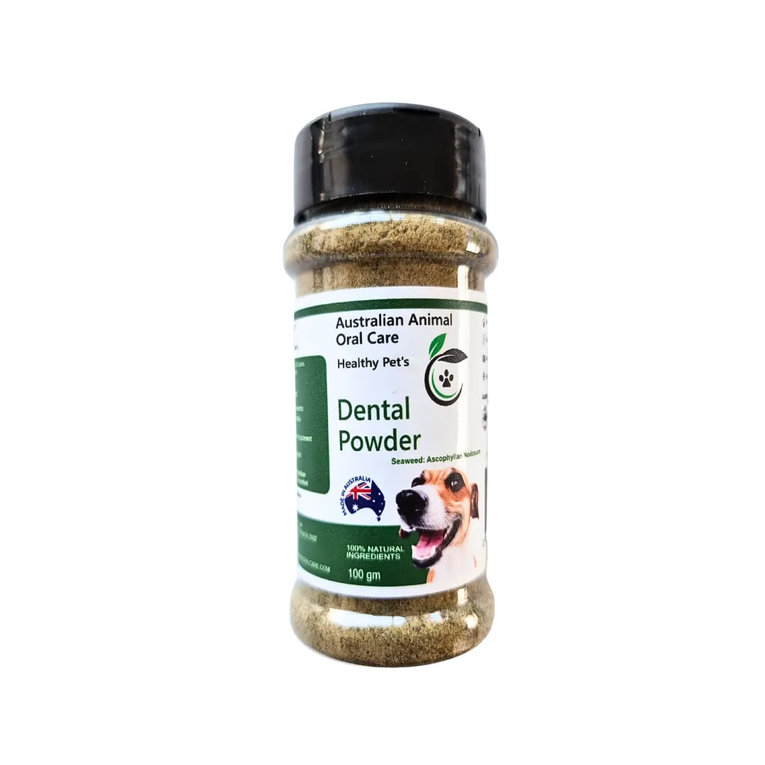 Mini Dental Gift Pack