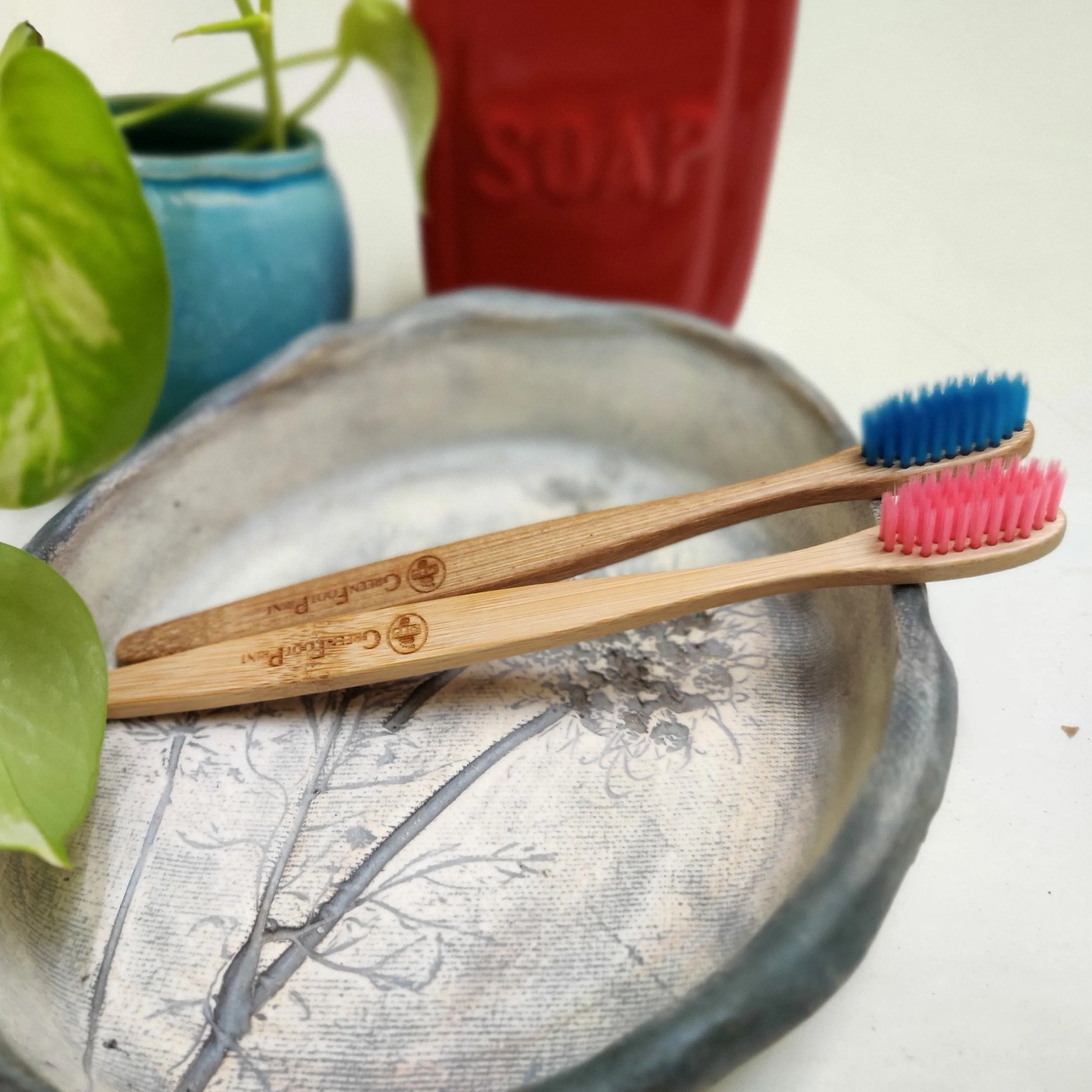 Natural Bamboo Toothbrush| Pack of 2