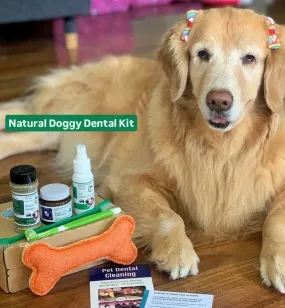 Pet Dental Kit