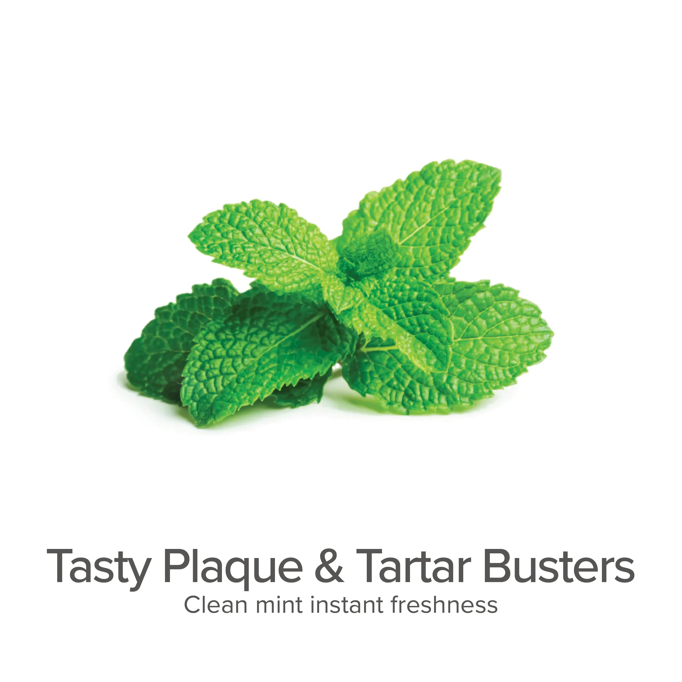 Plaque & Tartar Fighting Gel for Dogs (Clean Mint) - Organic Dental Solutions