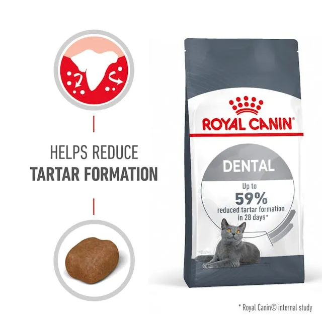 Royal Canin Cat Dental Care Adult Dry Food 3.5kg