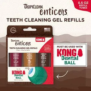 Tropiclean & KONG | Dog Dental Ball Kit | The Enticer Pack | Smoked Beef Brisket Flavour